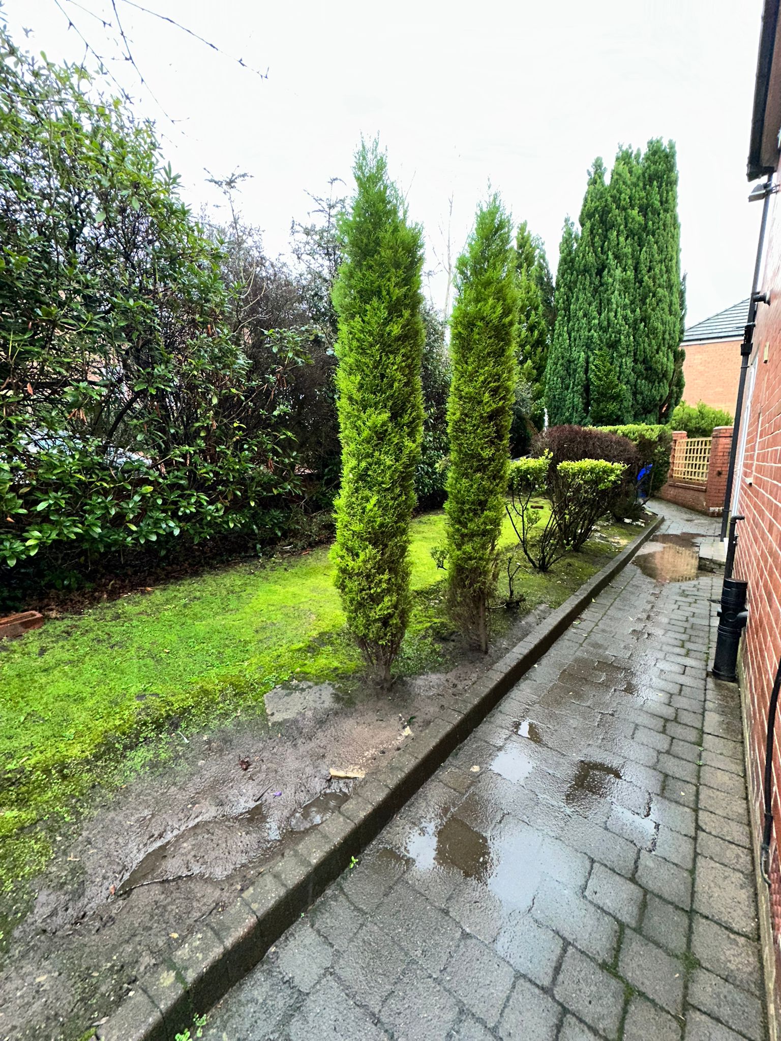 b352a93e-4fe3-4eb5-b099-2cc15597320d